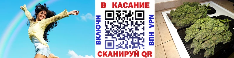 Купить наркотики сайты Жуковский Галлюциногенные грибы  Альфа ПВП  МЕФ  Марихуана  КЕТАМИН  Гашиш 