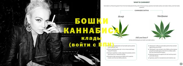 мдпв Ладушкин