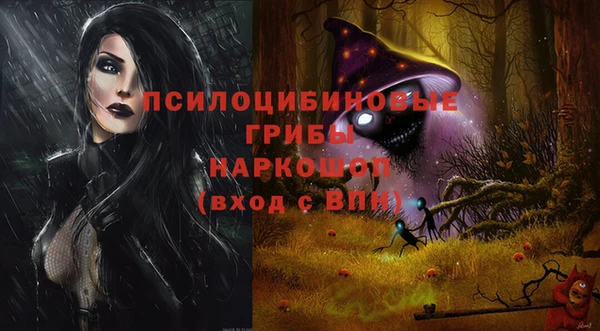 прущий лед Лагань