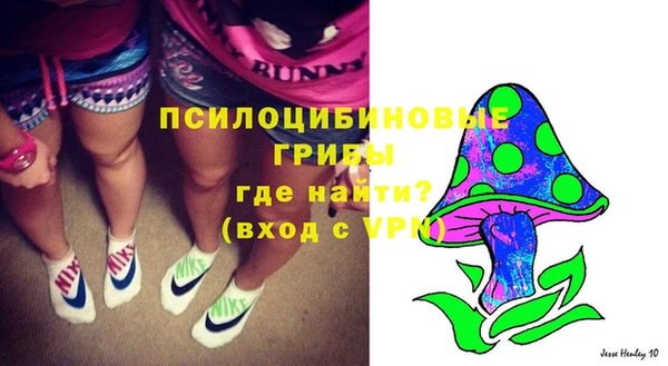 прущий лед Лагань