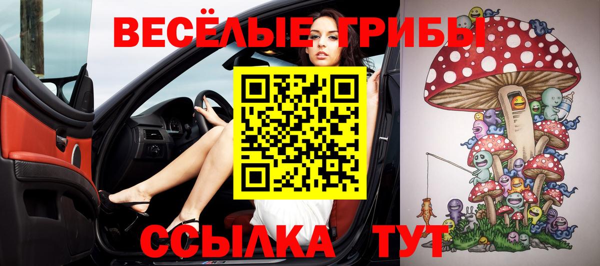 Галлюциногенные грибы Cubensis Жуковский