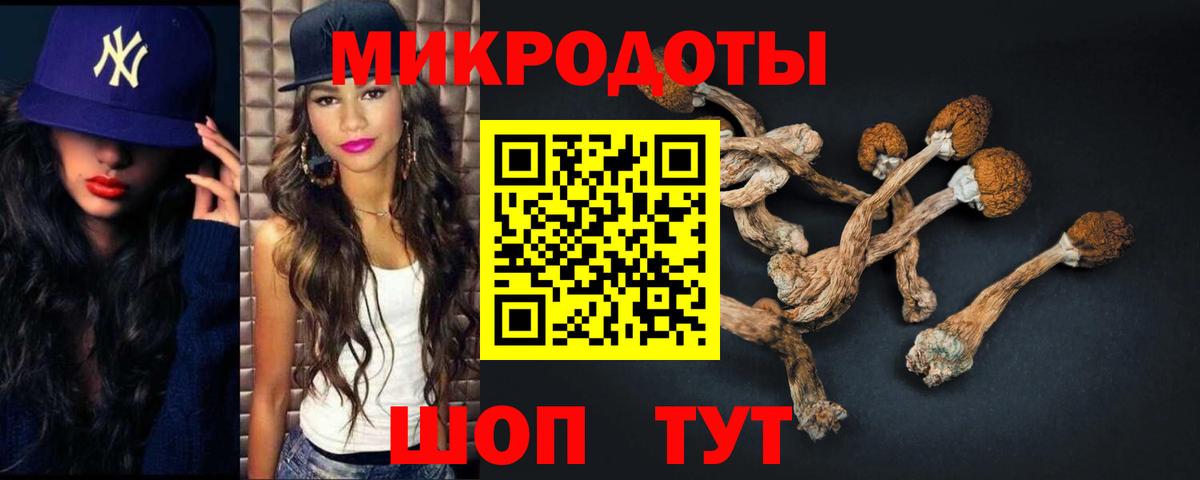 Псилоцибиновые грибы Psilocybine cubensis  Вход с VPN  Жуковский 