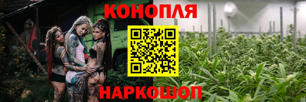 Шишки марихуана тримм  Бошки марихуана индика  Жуковский  Вход с VPN  Канабис тримм 